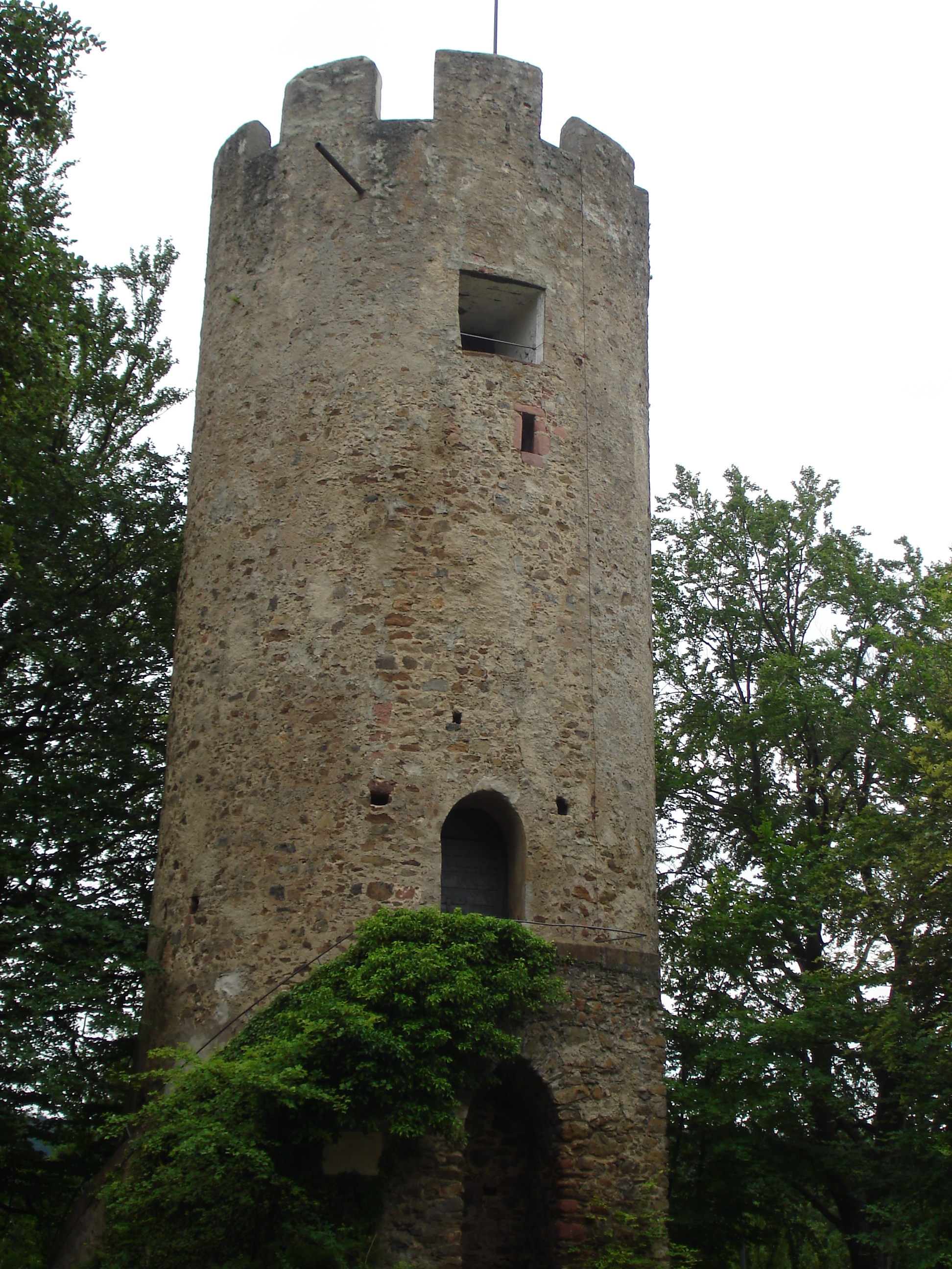 Zähringer Burg